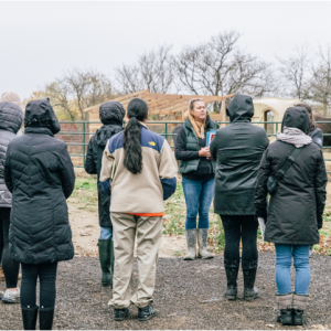 Executive Leadership Experience